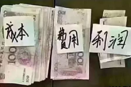 玉树为什么选择专业追讨公司来处理您的债务纠纷？